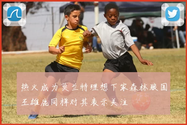 热火成为莫兰特理想下家森林狼国王雄鹿同样对其表示关注